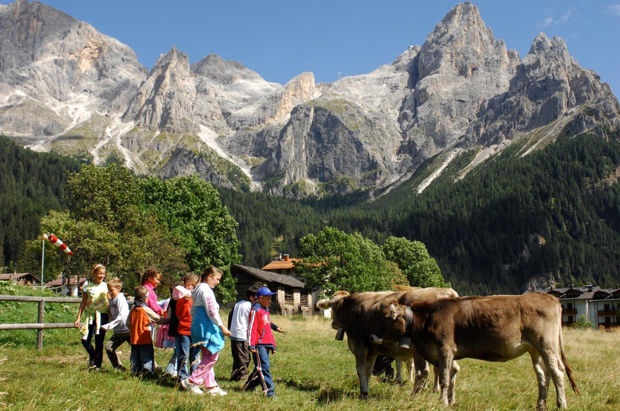 Sporting Aparthotel San Martino Di Castrozza Eksteriør billede